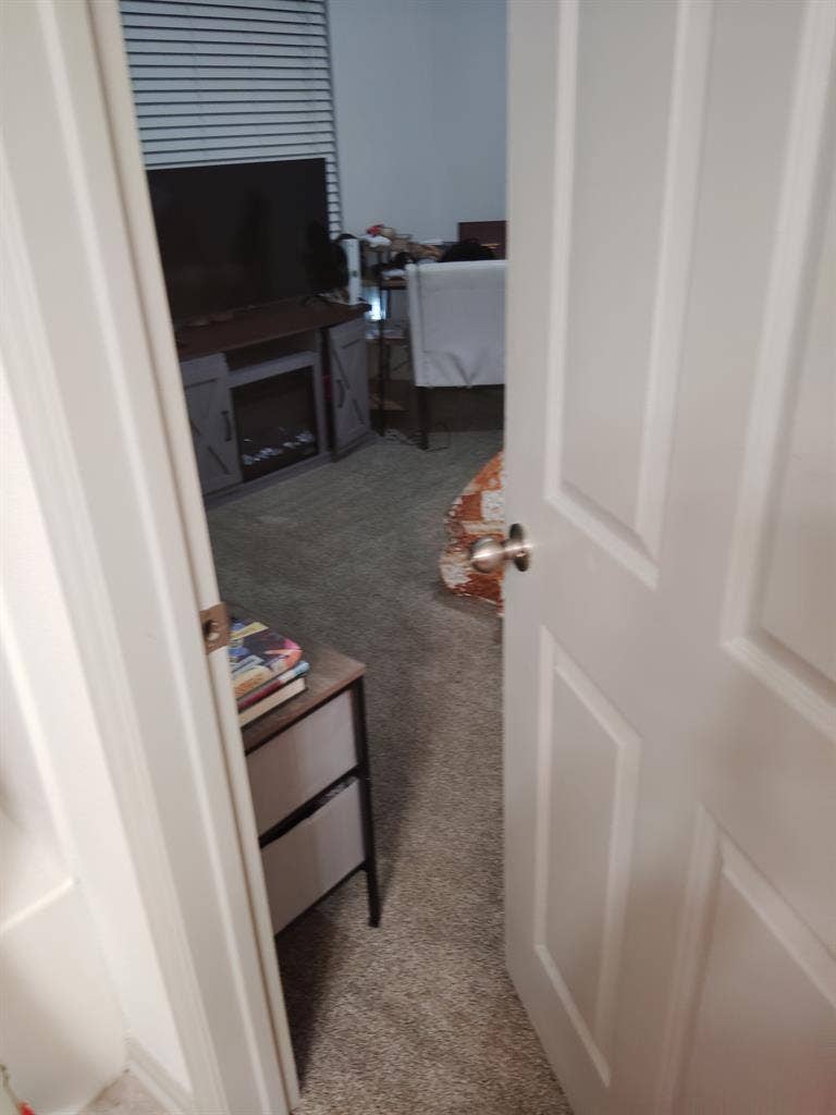 Responsible roommate needed