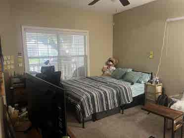 Accommodation available - female