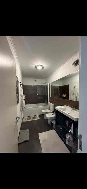Looking for a roommate