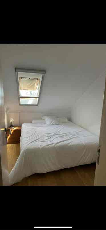 Looking for a roommate