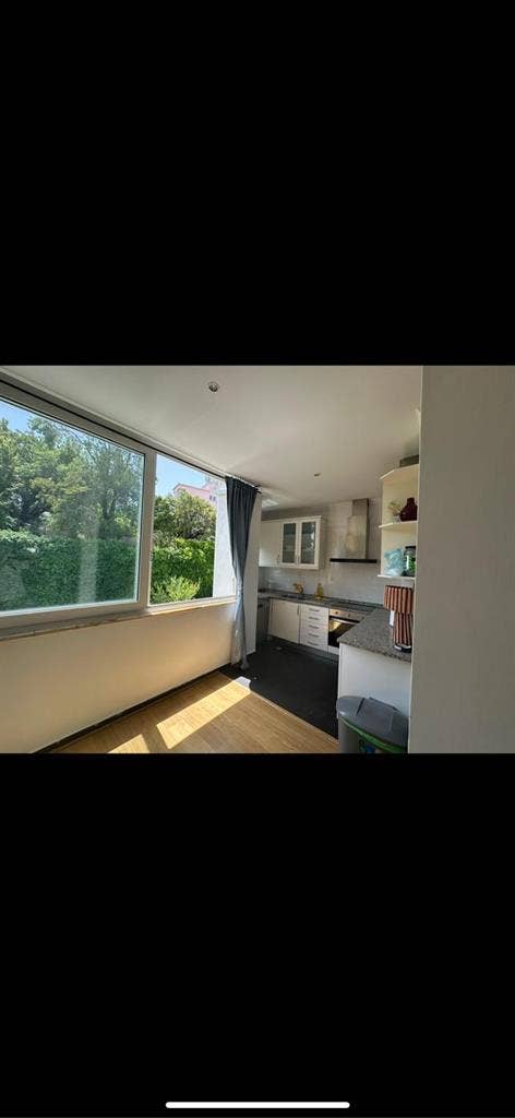 Looking for a roommate