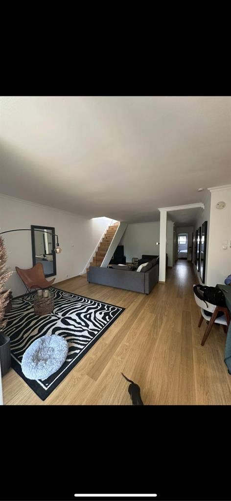 Looking for a roommate
