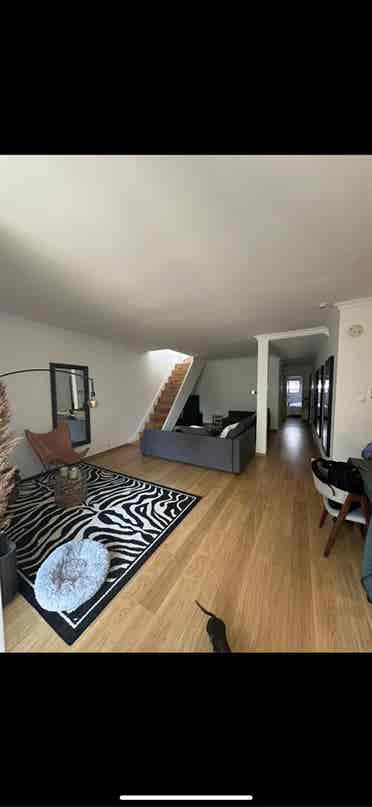 Looking for a roommate