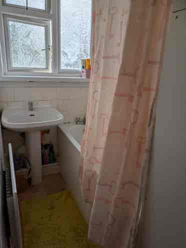Bright double room available