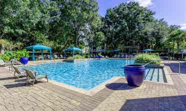 Looking for a Roommate
