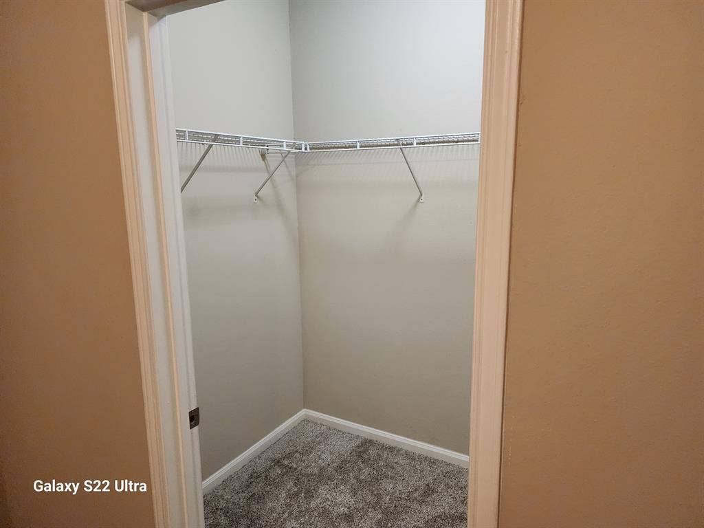 Looking for a Roommate