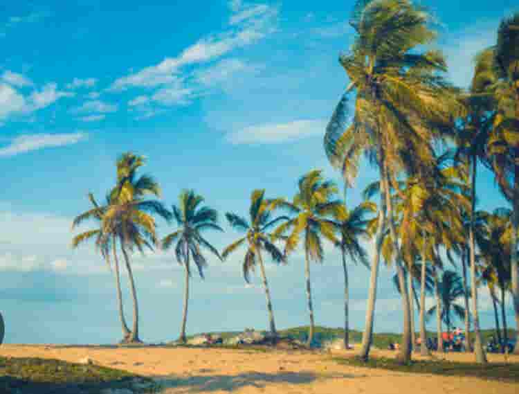 Sunny bedroom-3 min walk to beach
