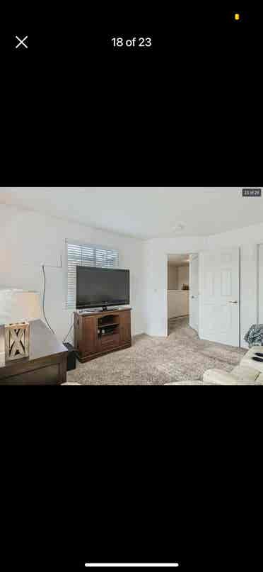 Looking for one roommate
