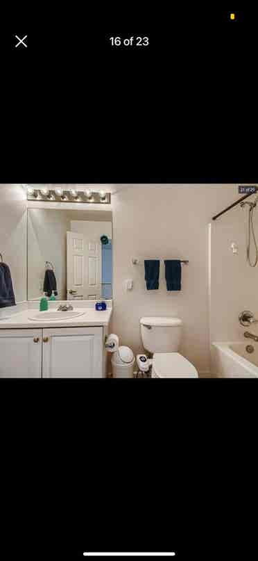 Looking for one roommate