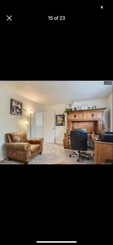Looking for one roommate