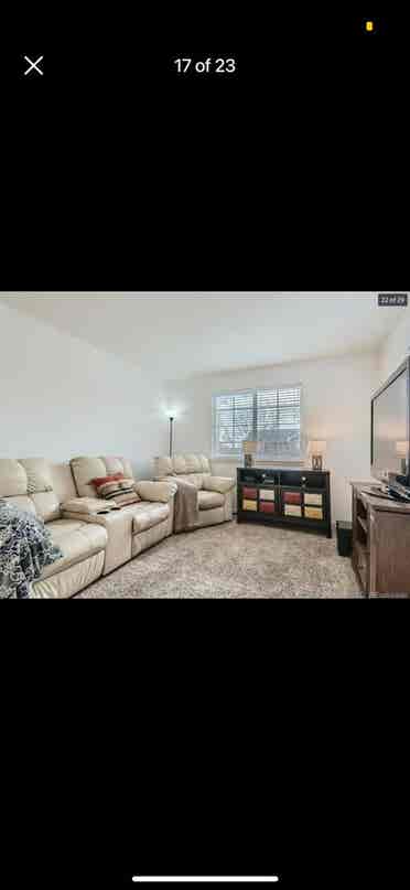 Looking for one roommate