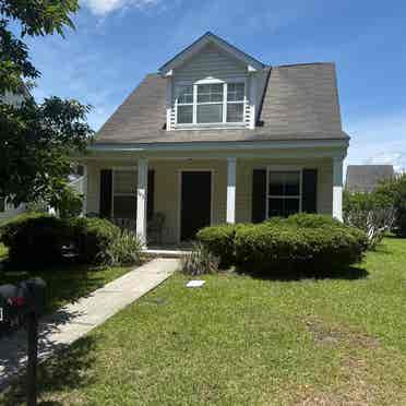 Roommate wanted!