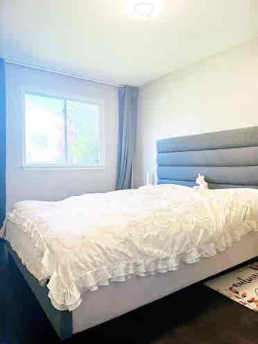 Newly renovated 3 bedrooms house