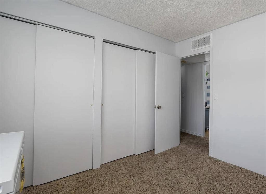 Friendly Roommate Wanted!