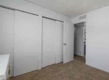 Friendly Roommate Wanted!