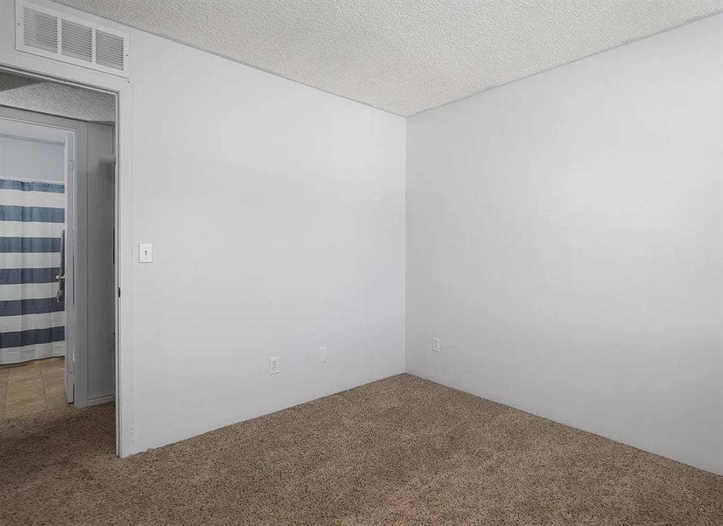 Friendly Roommate Wanted!