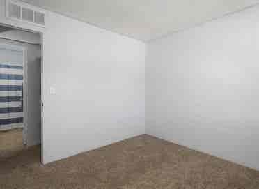 Friendly Roommate Wanted!