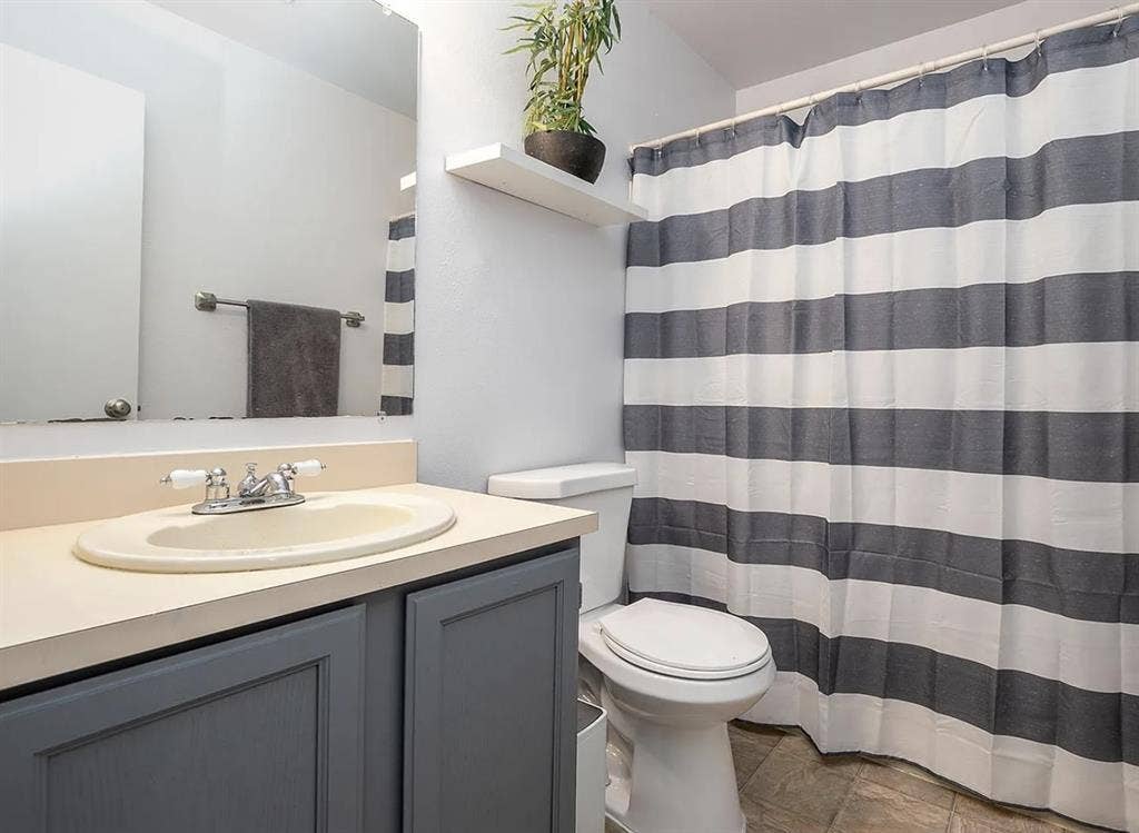 Friendly Roommate Wanted!