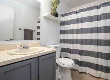 Friendly Roommate Wanted!