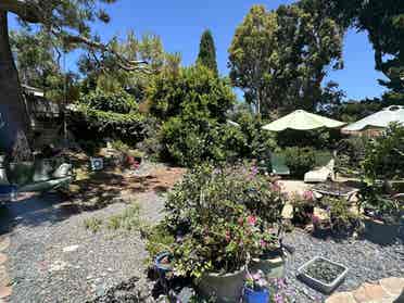 Beautiful House to share