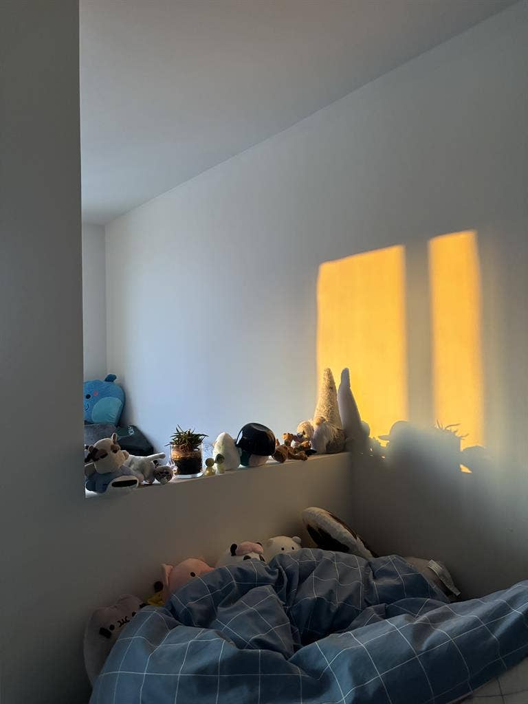 room Lightview Sublet
