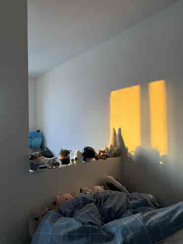 room Lightview Sublet
