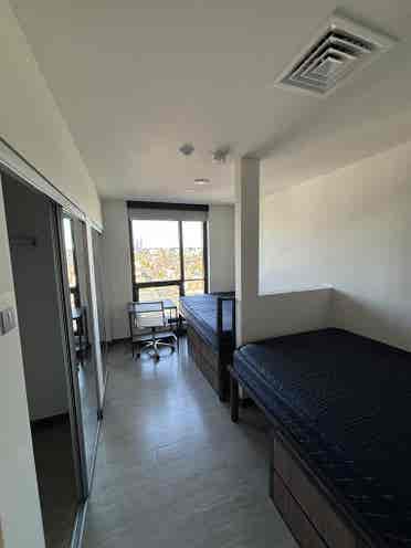 room Lightview Sublet