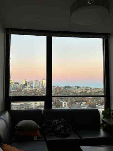 room Lightview Sublet