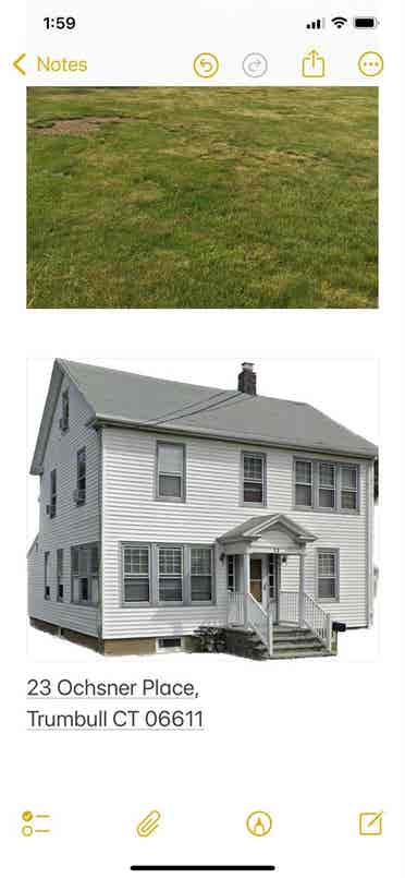 Trumbull Apartment or Rooms