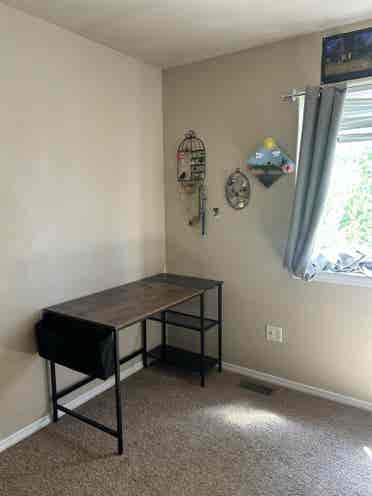 summer sublease