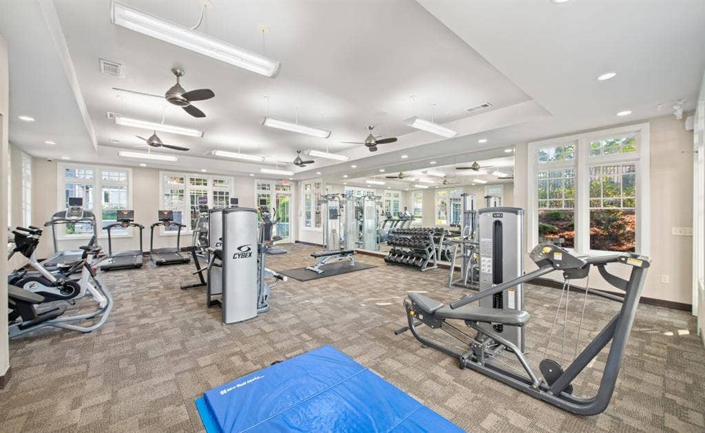 Looking for a roommate in a b