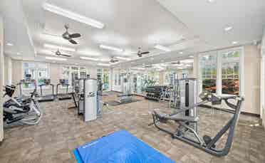 Looking for a roommate in a b