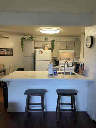 Room Available in Cozy 2BR Oasis!