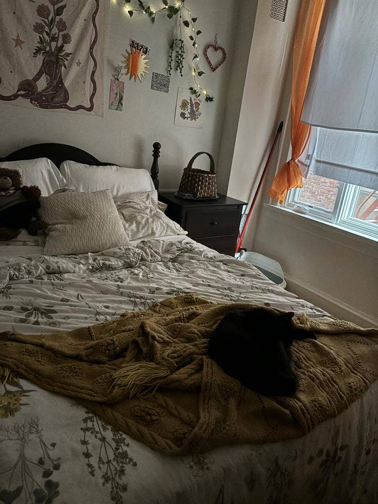 Looking to share two bedroom!
