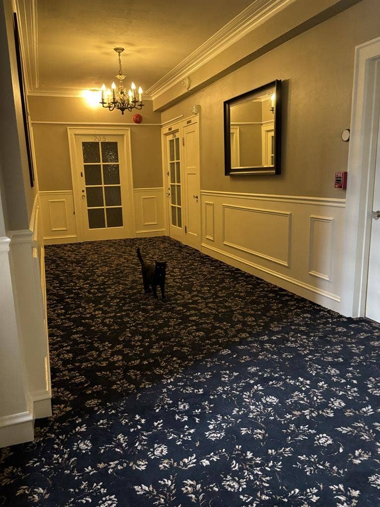 Looking to share two bedroom!