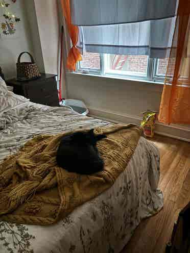 Looking to share two bedroom!