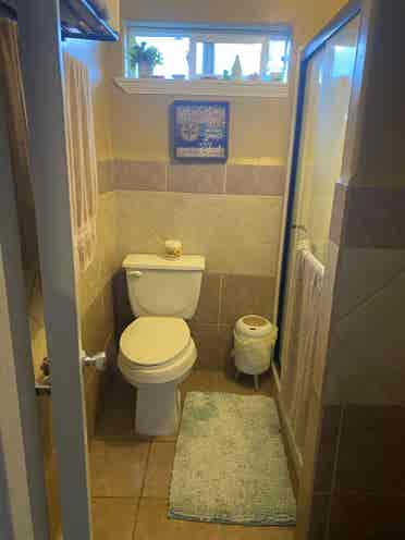 Room 4 rent