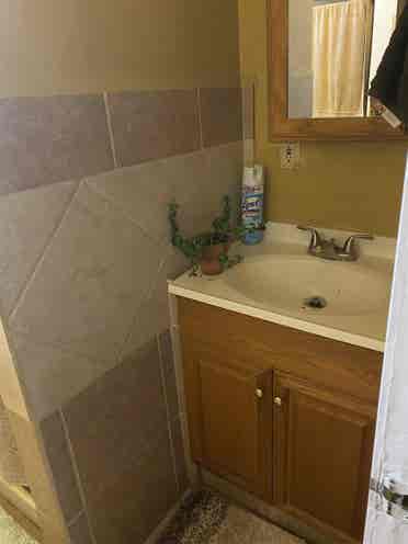 Room 4 rent