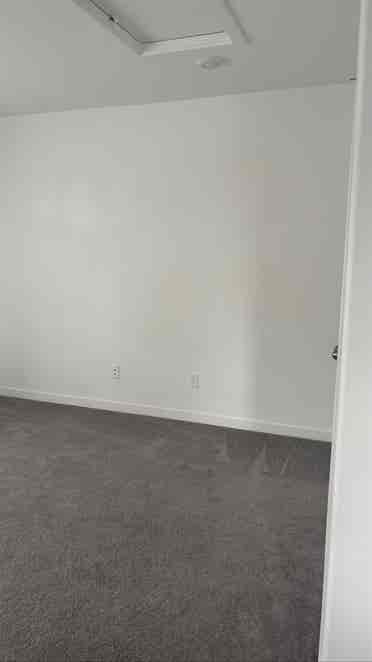 Looking for a female roommate