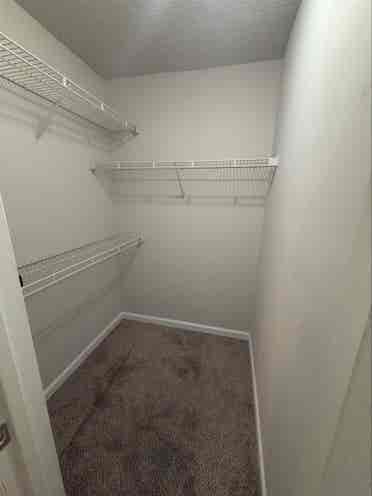 Midtown Atlanta Roommate wanted