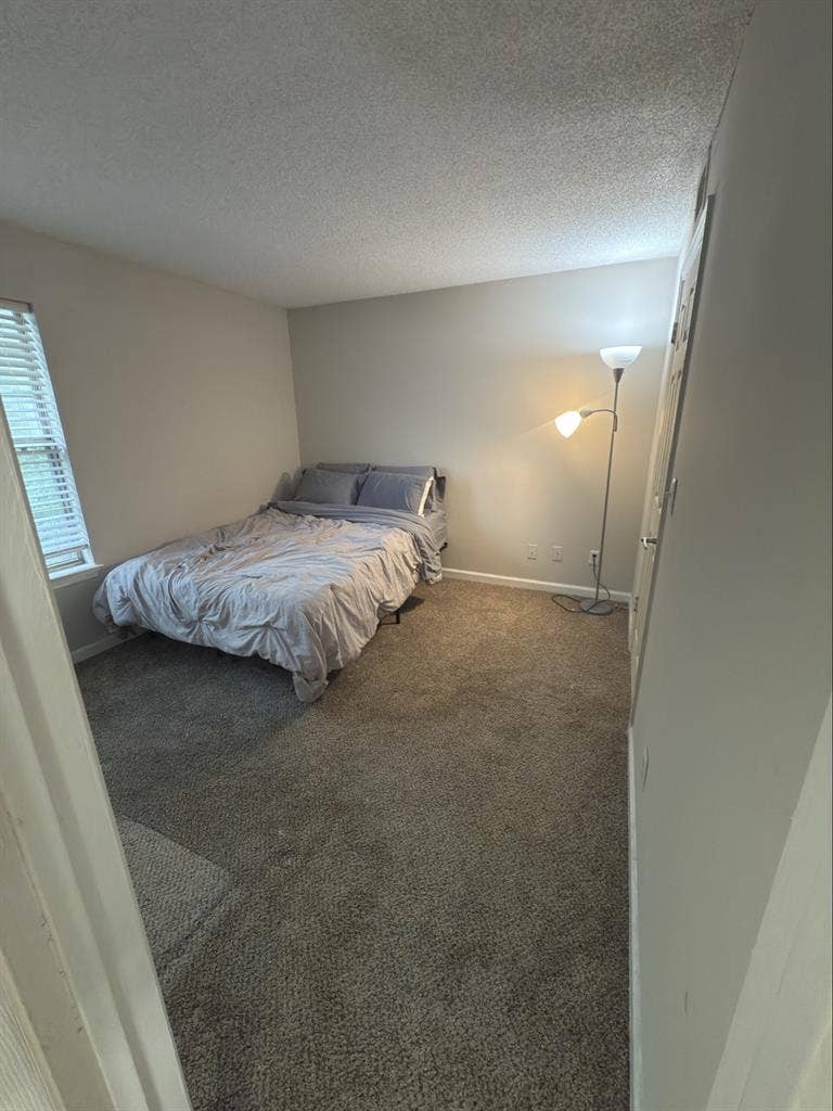 Midtown Atlanta Roommate wanted