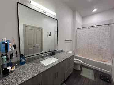 Looking for roommatees