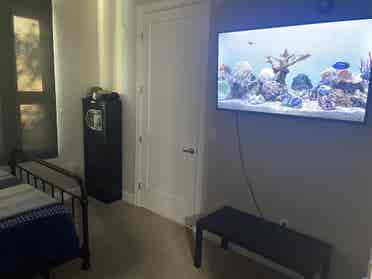 Looking for female roommate
