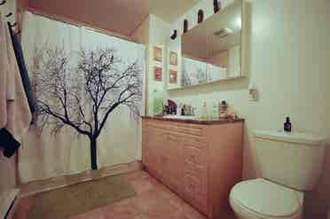 Bath - House