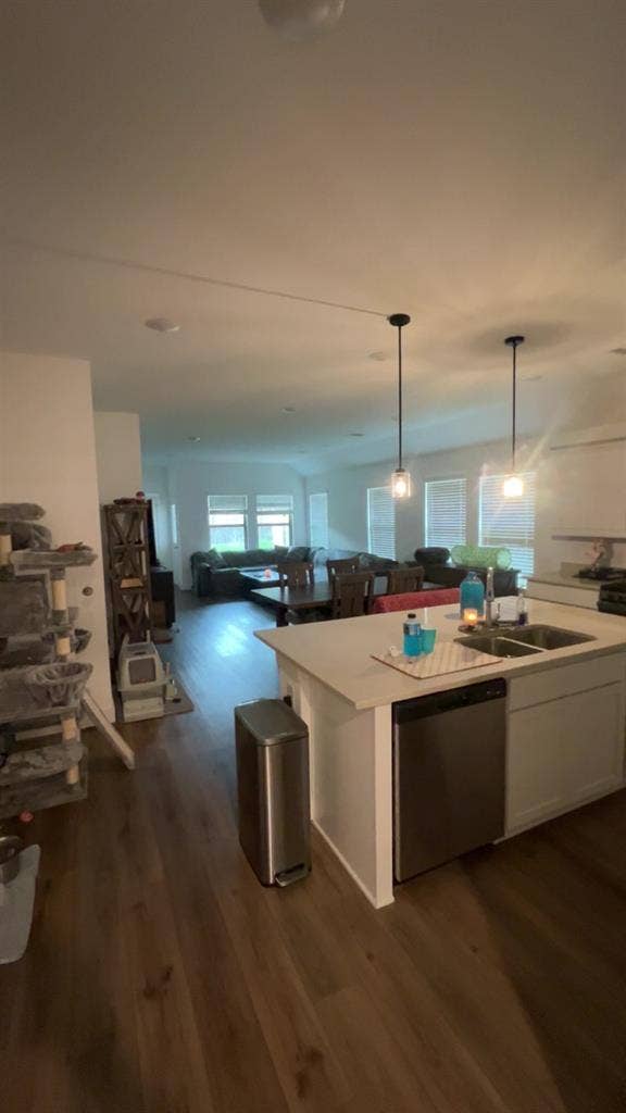 Looking for roommate!