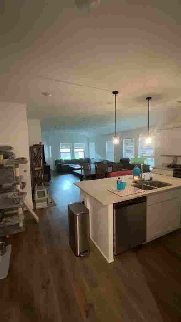 Looking for roommate!