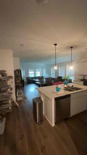 Looking for roommate!