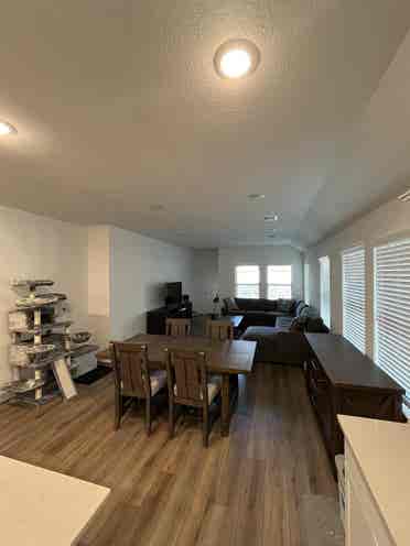 Looking for roommate!