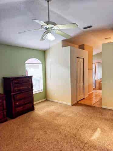 Room Rental Tampa/Brandon/Seffner