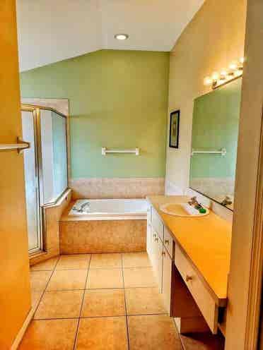 Room Rental Tampa/Brandon/Seffner